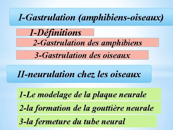 I-Gastrulation (amphibiens-oiseaux) 1 -Définitions 2 -Gastrulation des amphibiens 3 -Gastrulation des oiseaux II-neurulation chez