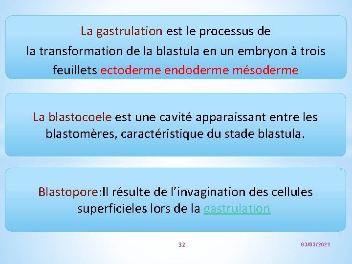 La gastrulation est le processus de la transformation de la blastula en un embryon