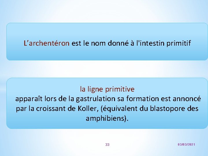 L’archentéron est le nom donné à l'intestin primitif la ligne primitive apparaît lors de