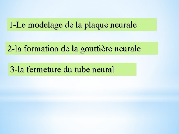 1 -Le modelage de la plaque neurale 2 -la formation de la gouttière neurale