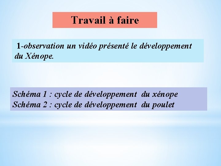 Travail à faire 1 -observation un vidéo présenté le développement du Xénope. Schéma 1