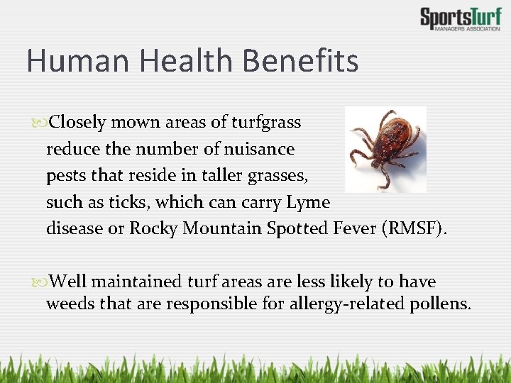 Human Health Benefits Closely mown areas of turfgrass reduce the number of nuisance pests
