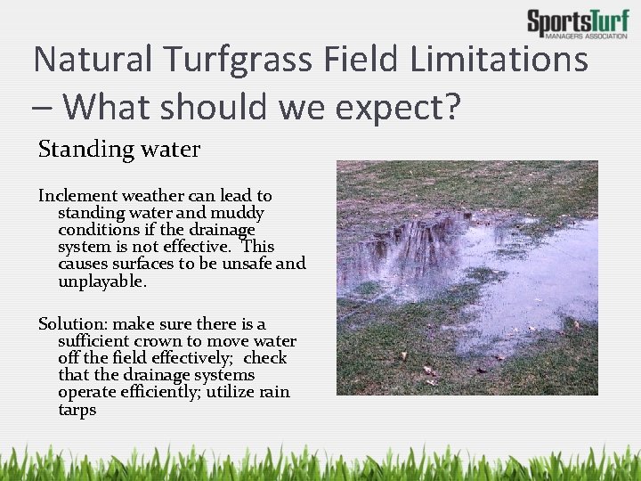 Natural Turfgrass Field Limitations – What should we expect? Standing water Inclement weather can
