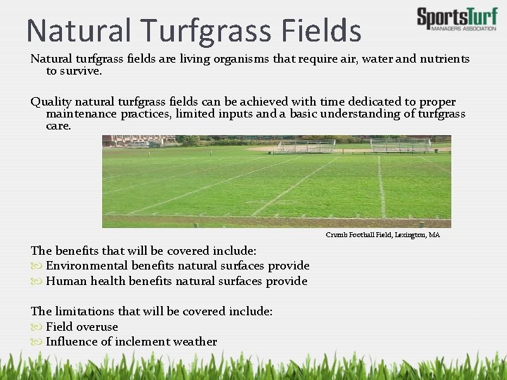 Natural Turfgrass Fields Natural turfgrass fields are living organisms that require air, water and