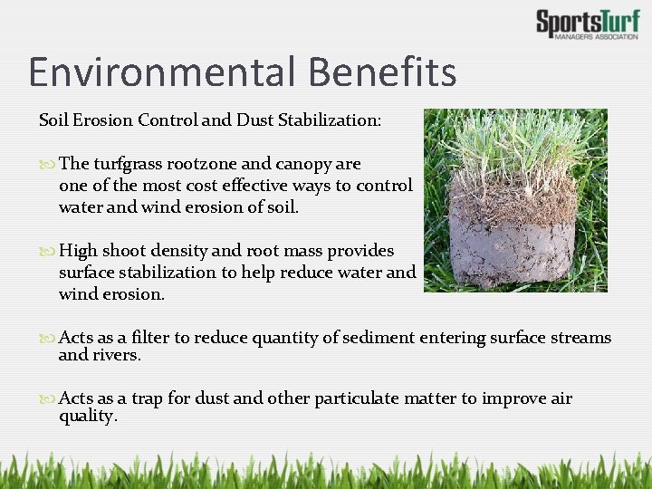 Environmental Benefits Soil Erosion Control and Dust Stabilization: The turfgrass rootzone and canopy are