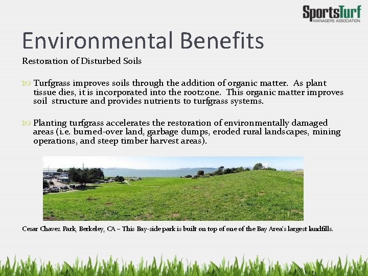 Environmental Benefits Restoration of Disturbed Soils Turfgrass improves soils through the addition of organic