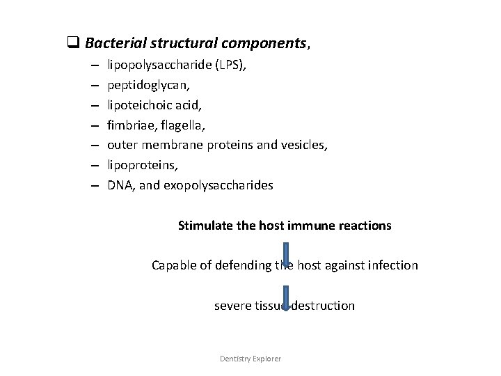 q Bacterial structural components, – – – – lipopolysaccharide (LPS), peptidoglycan, lipoteichoic acid, fimbriae,