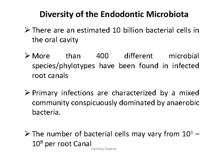 Diversity of the Endodontic Microbiota Ø There an estimated 10 billion bacterial cells in