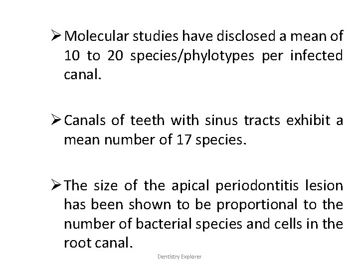 Ø Molecular studies have disclosed a mean of 10 to 20 species/phylotypes per infected