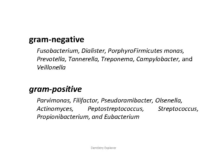 gram-negative Fusobacterium, Dialister, Porphyro. Firmicutes monas, Prevotella, Tannerella, Treponema, Campylobacter, and Veillonella gram-positive Parvimonas,