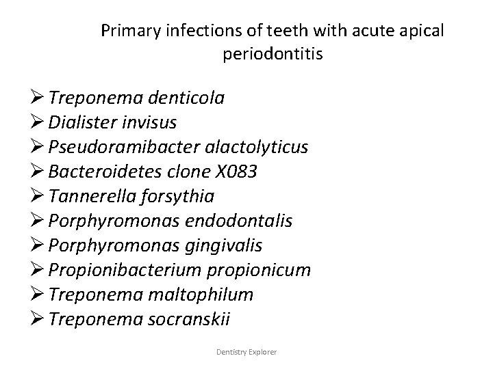 Primary infections of teeth with acute apical periodontitis Ø Treponema denticola Ø Dialister invisus