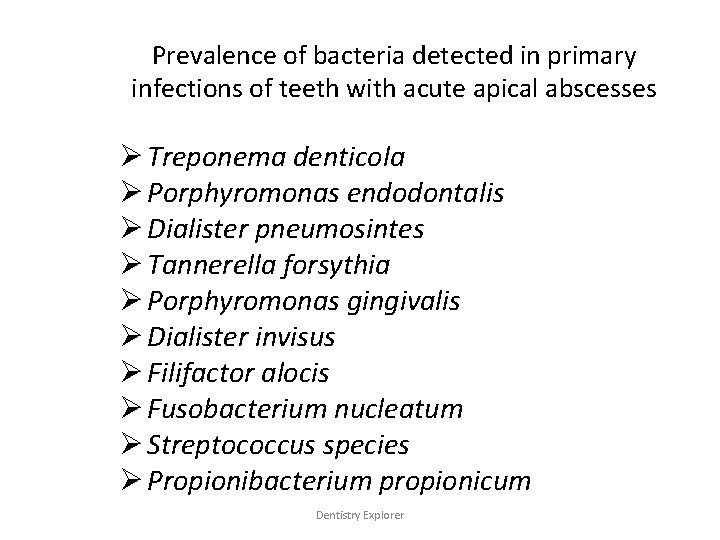 Prevalence of bacteria detected in primary infections of teeth with acute apical abscesses Ø