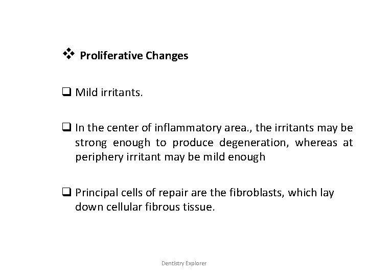 v Proliferative Changes q Mild irritants. q In the center of inflammatory area. ,