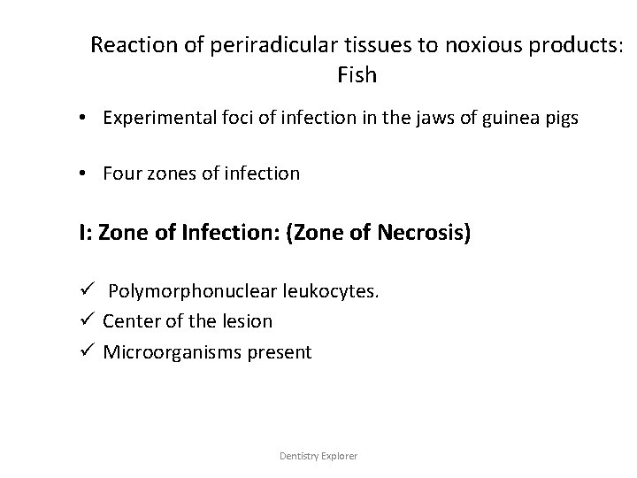 Reaction of periradicular tissues to noxious products: Fish • Experimental foci of infection in