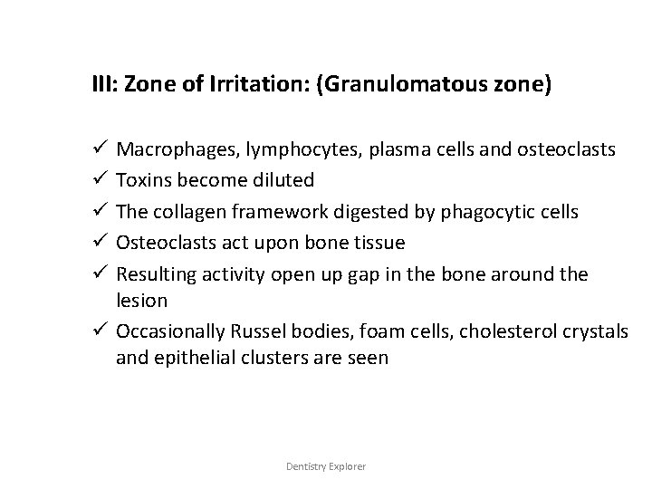 III: Zone of Irritation: (Granulomatous zone) Macrophages, lymphocytes, plasma cells and osteoclasts Toxins become