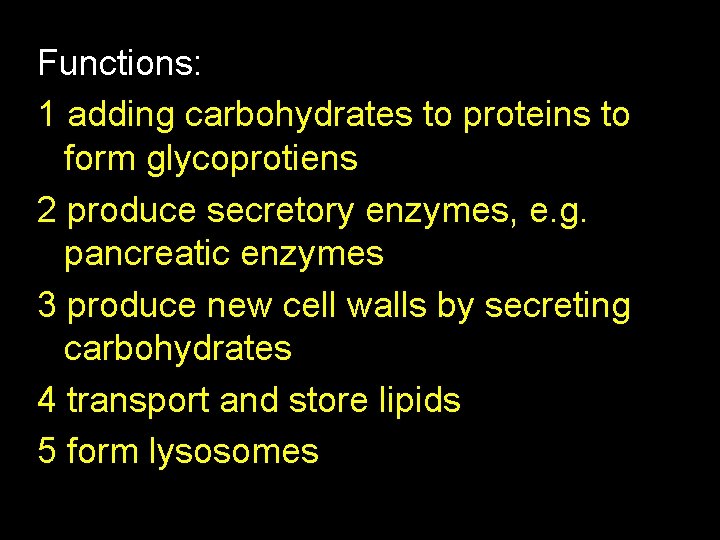 Functions: 1 adding carbohydrates to proteins to form glycoprotiens 2 produce secretory enzymes, e.