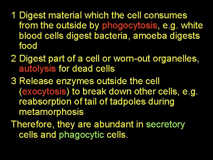 1 Digest material which the cell consumes from the outside by phogocytosis, e. g.