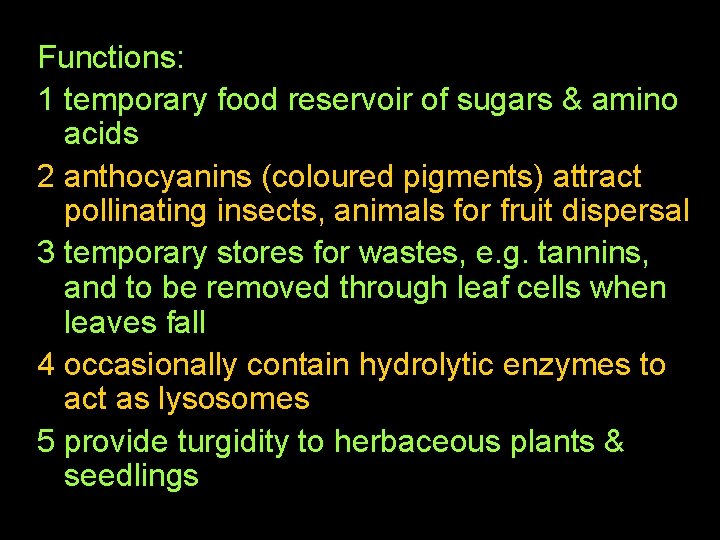 Functions: 1 temporary food reservoir of sugars & amino acids 2 anthocyanins (coloured pigments)