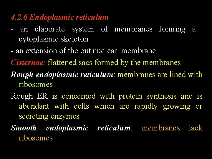 4. 2. 6 Endoplasmic reticulum - an elaborate system of membranes forming a cytoplasmic