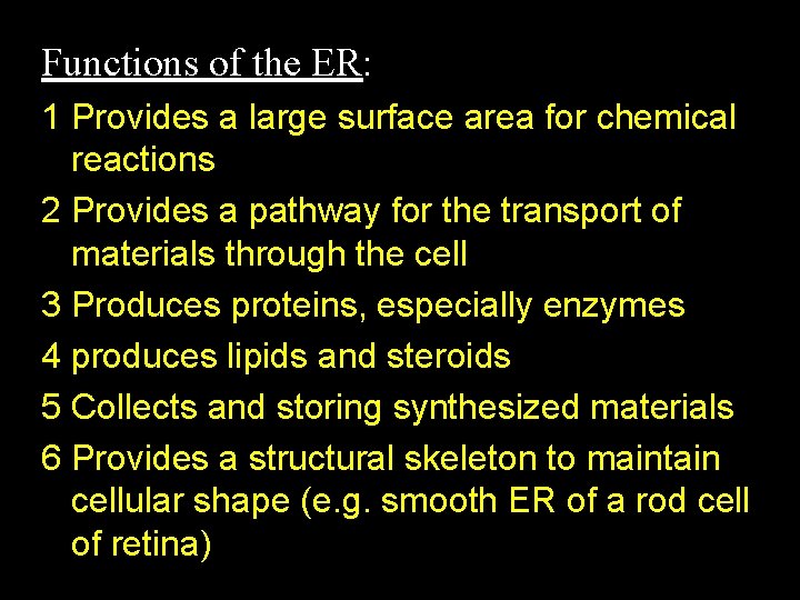 Functions of the ER: 1 Provides a large surface area for chemical reactions 2