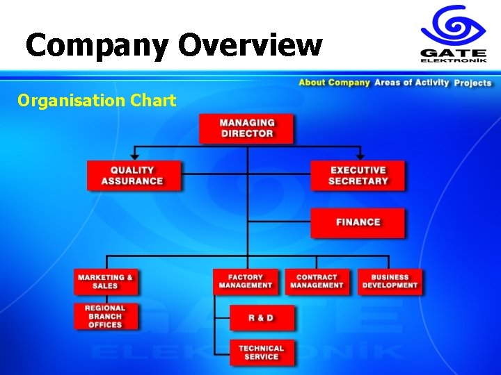 Company Overview Organisation Chart 