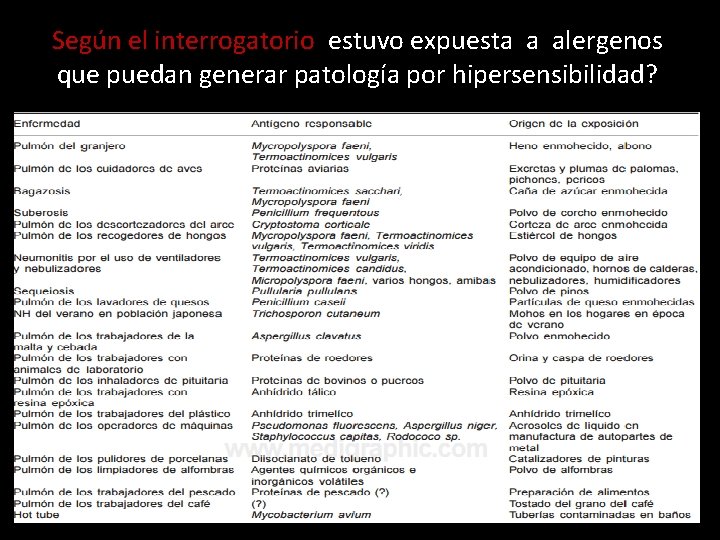 Según el interrogatorio estuvo expuesta a alergenos que puedan generar patología por hipersensibilidad? 