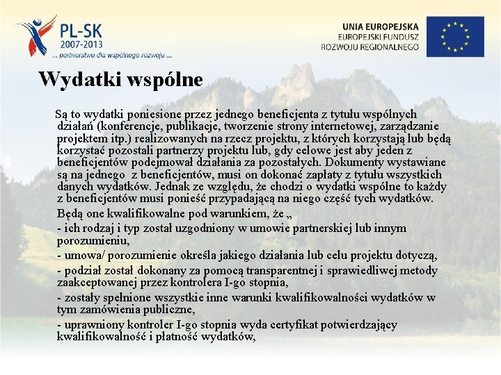 Wydatki wspólne Są to wydatki poniesione przez jednego beneficjenta z tytułu wspólnych działań (konferencje,