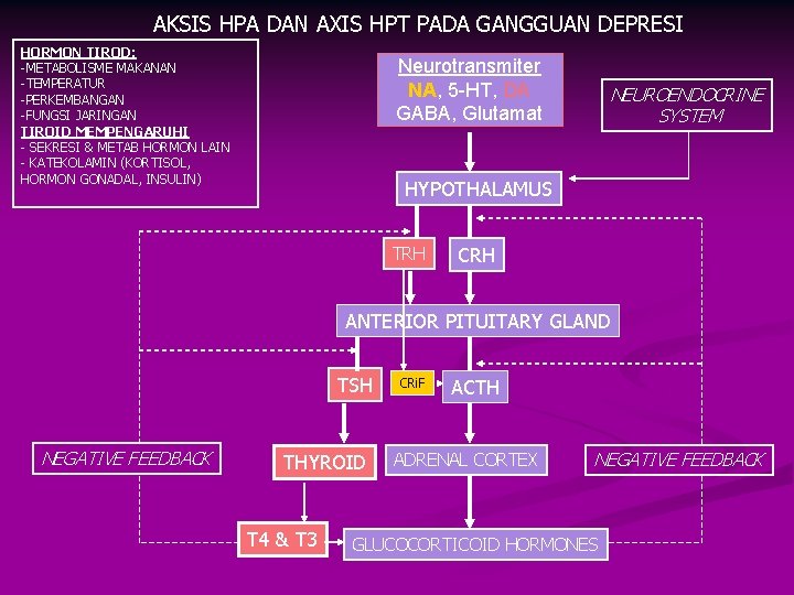 AKSIS HPA DAN AXIS HPT PADA GANGGUAN DEPRESI HORMON TIROD: -METABOLISME MAKANAN -TEMPERATUR -PERKEMBANGAN