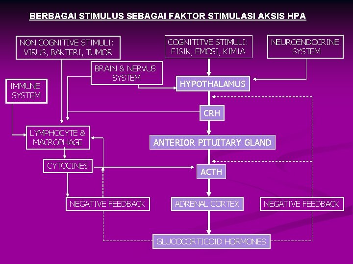 BERBAGAI STIMULUS SEBAGAI FAKTOR STIMULASI AKSIS HPA COGNITITVE STIMULI: FISIK, EMOSI, KIMIA NON COGNITIVE