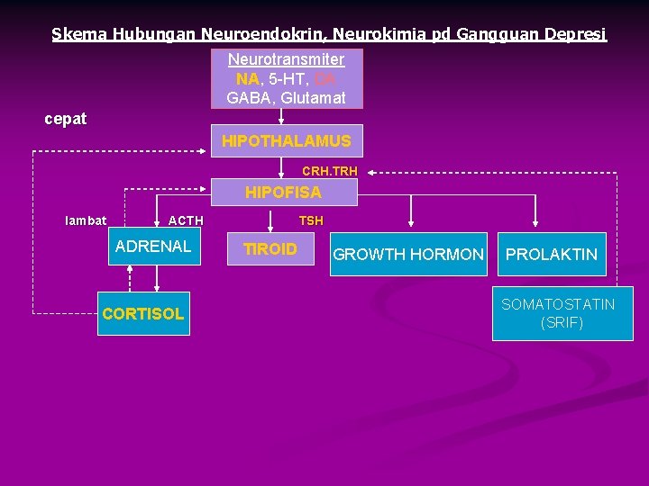Skema Hubungan Neuroendokrin, Neurokimia pd Gangguan Depresi Neurotransmiter NA, 5 -HT, DA GABA, Glutamat