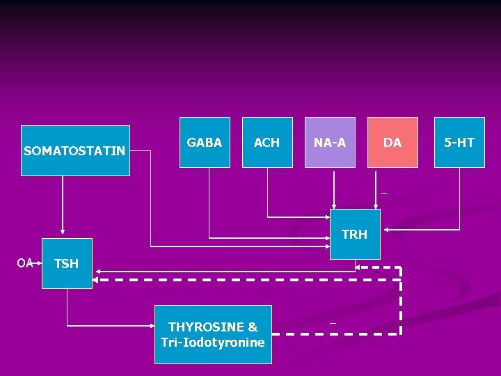 SOMATOSTATIN GABA ACH NA-A DA _ TRH OA TSH THYROSINE & Tri-Iodotyronine _ 5