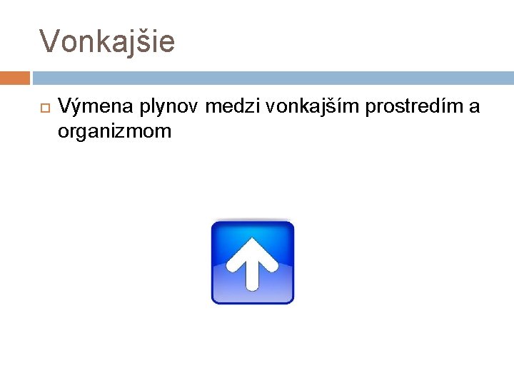 Vonkajšie Výmena plynov medzi vonkajším prostredím a organizmom 