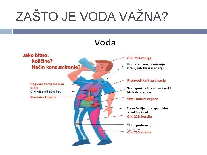 ZAŠTO JE VODA VAŽNA? 