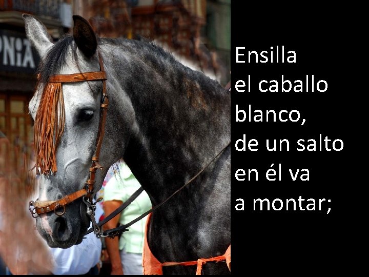 Ensilla el caballo blanco, de un salto en él va a montar; 