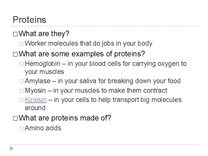 Proteins Proteins What are they Worker What molecules