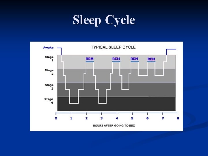 Sleep Cycle 