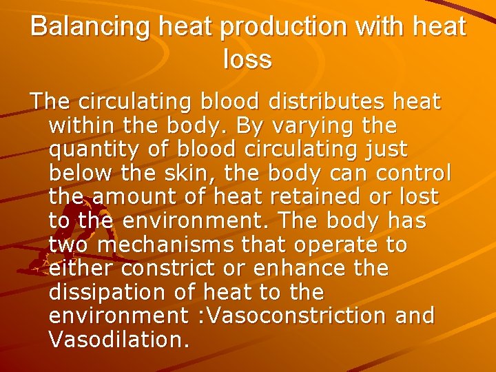 Balancing heat production with heat loss The circulating blood distributes heat within the body. Balancing heat production with heat loss The circulating blood distributes heat within the body.