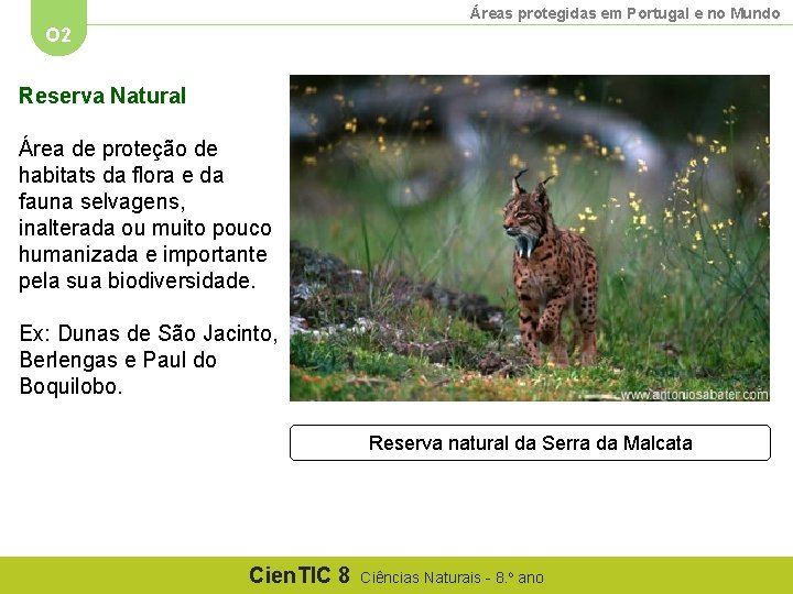 Áreas protegidas em Portugal e no Mundo O 2 Reserva Natural Área de proteção