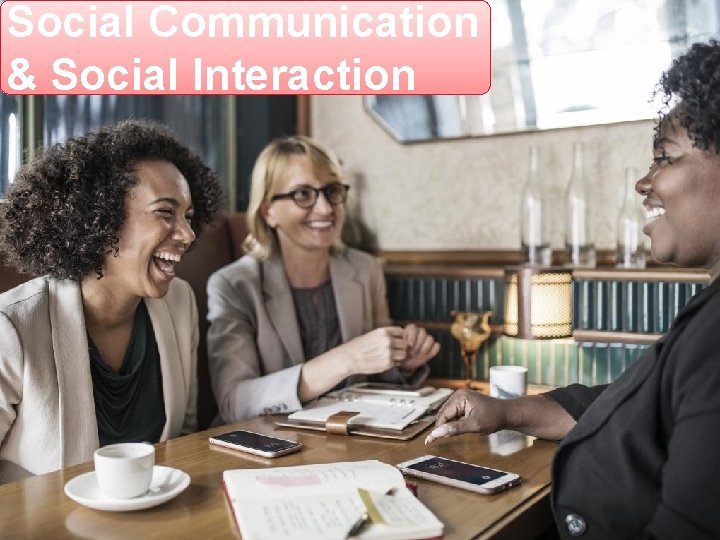 Social Communication & Social Interaction 