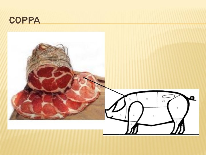 COPPA 