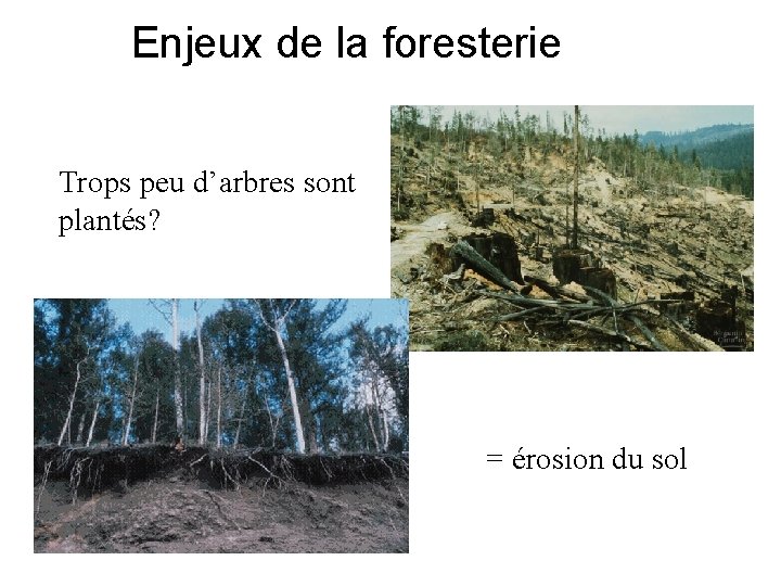 Enjeux de la foresterie Trops peu d’arbres sont plantés? = érosion du sol 