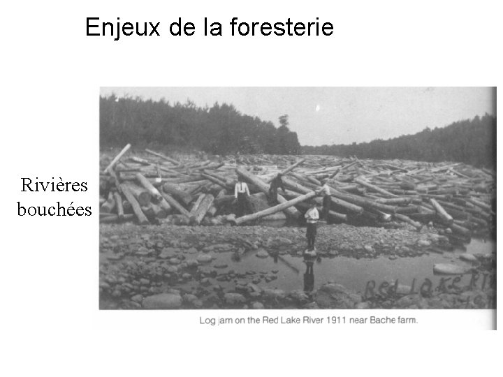 Enjeux de la foresterie Rivières bouchées 