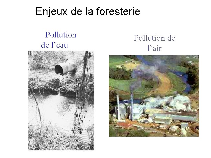 Enjeux de la foresterie Pollution de l’eau Pollution de l’air 