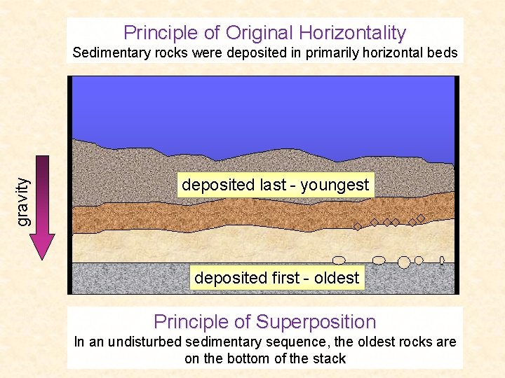 Principle of Original Horizontality gravity Sedimentary rocks were deposited in primarily horizontal beds deposited