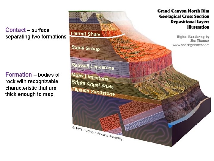 Contact – surface separating two formations Hermit Shale Supai Group Redwall Lime stone Formation