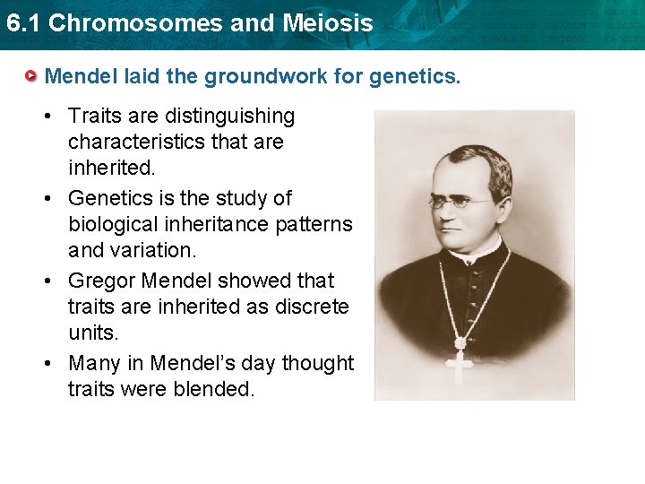 6. 1 Chromosomes and Meiosis Mendel laid the groundwork for genetics. • Traits are