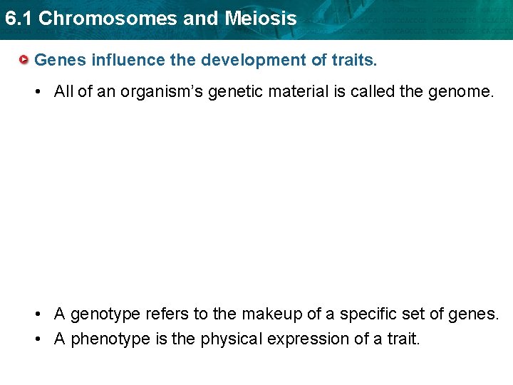 6. 1 Chromosomes and Meiosis Genes influence the development of traits. • All of