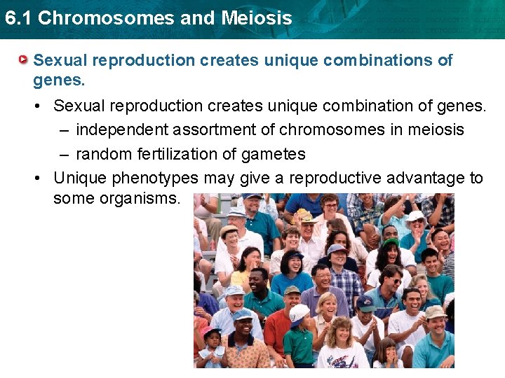 6. 1 Chromosomes and Meiosis Sexual reproduction creates unique combinations of genes. • Sexual