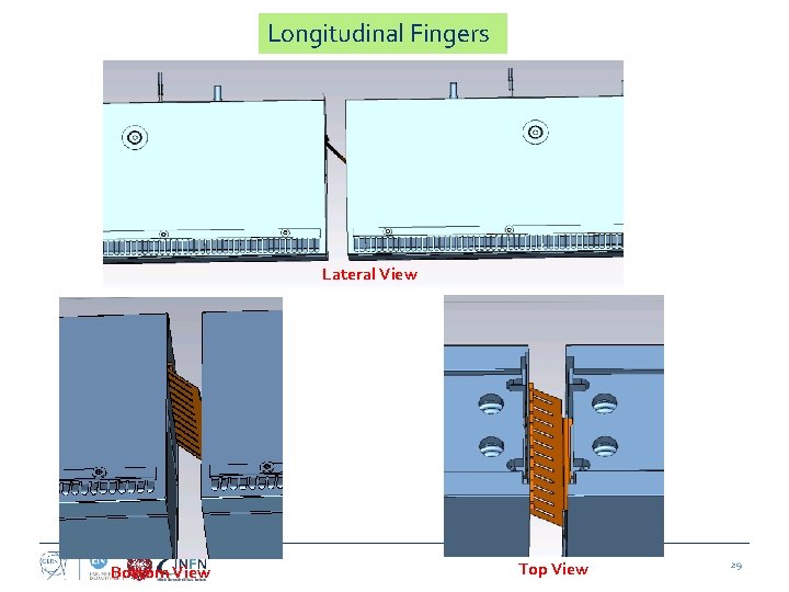 Longitudinal Fingers Lateral View Bottom View Top View 29 