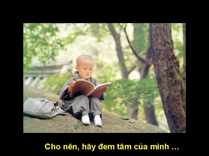 Cho nên, hãy đem tâm của mình … 